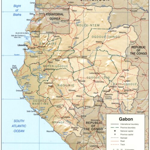Gabon Political and Relief Poster – Provinces, Roads, and Terrain Detail picture