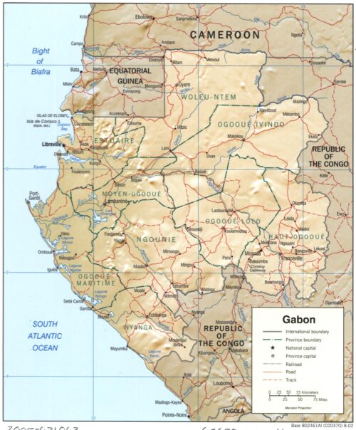 Gabon Political and Relief Poster – Provinces, Roads, and Terrain Detail picture