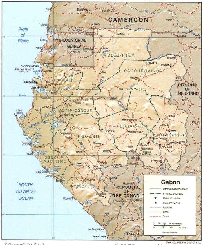 Gabon Political and Relief Poster – Provinces, Roads, and Terrain Detail picture