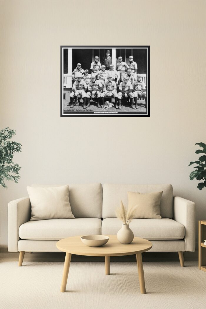 Princeton Baseball Team 1901 – Historic Ivy League Sports Photo picture