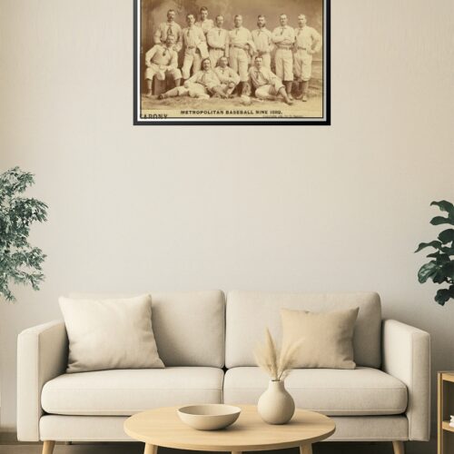 Metropolitan Baseball Nine 1882 – Vintage Team Portrait by Sarony picture