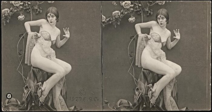 High Lights and Shadows – 1927 Vintage Glamour Photo with Veil picture