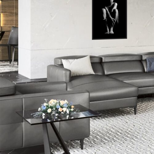 Monochrome Nude Female Silhouette – Artistic Photography picture