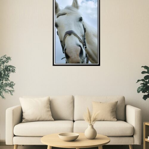 Majestic Gaze – White Horse Close-Up Fine Art Print picture