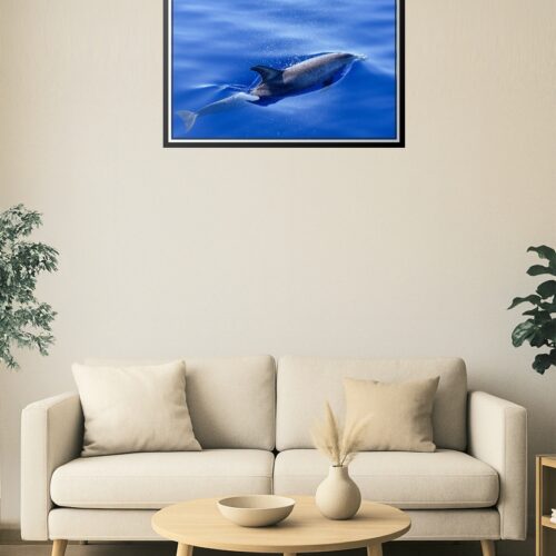 Dolphin in Motion Ocean Poster – Underwater Speed & Grace picture