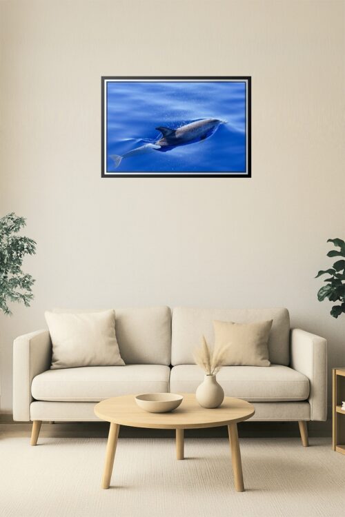 Dolphin in Motion Ocean Poster – Underwater Speed & Grace picture