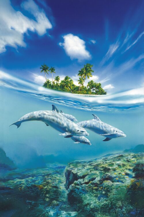 Tropical Island & Dolphin Pod Poster – Split Ocean View Art picture