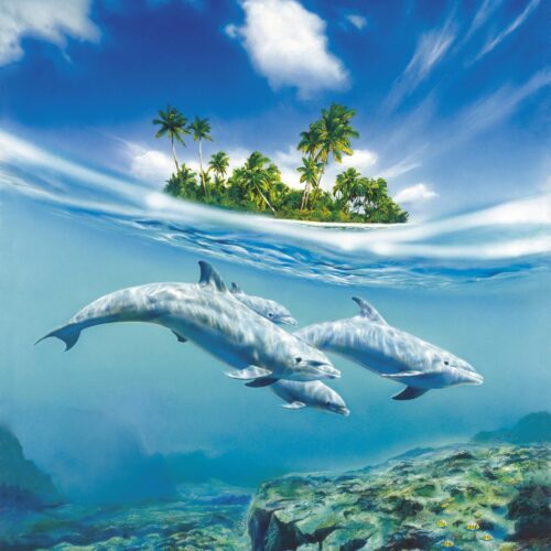 Tropical Island & Dolphin Pod Poster – Split Ocean View Art picture