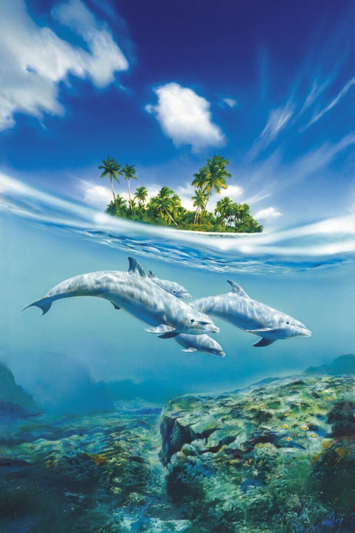 Tropical Island & Dolphin Pod Poster – Split Ocean View Art picture