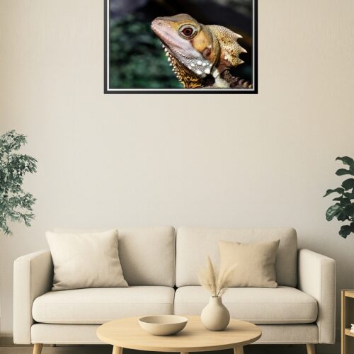 Close-Up Lizard Reptile Poster – Exotic Wildlife Wall Art picture