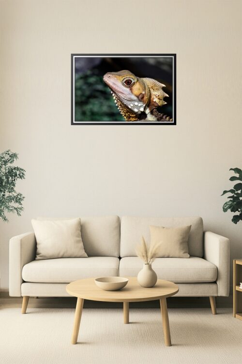 Close-Up Lizard Reptile Poster – Exotic Wildlife Wall Art picture