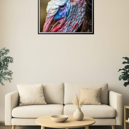 Extreme Close-Up Turkey Face Poster – Nature's Texture in Detail picture
