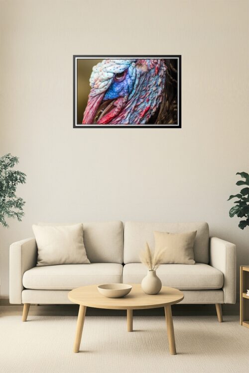 Extreme Close-Up Turkey Face Poster – Nature's Texture in Detail picture