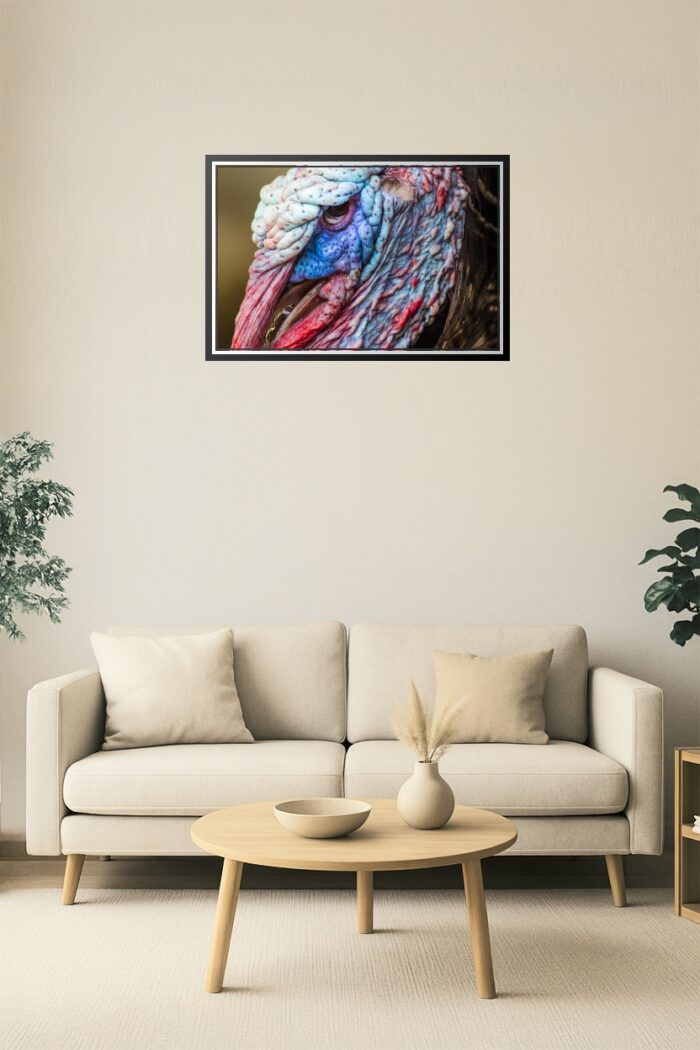 Extreme Close-Up Turkey Face Poster – Nature's Texture in Detail picture