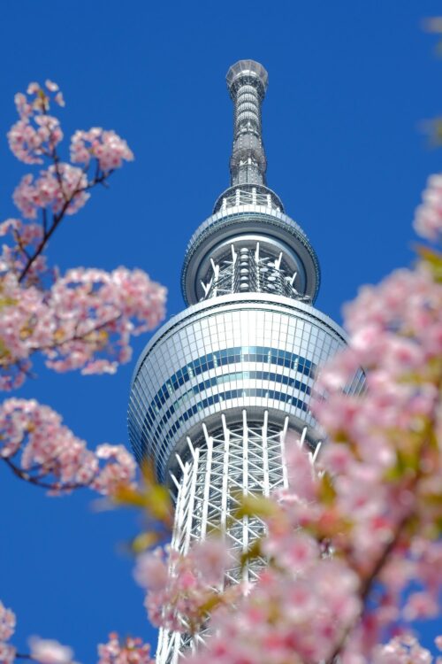 Tokyo Tower-Inspired Skyline Poster – Cherry Blossom Framed View picture
