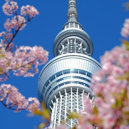 Tokyo Tower-Inspired Skyline Poster – Cherry Blossom Framed View picture