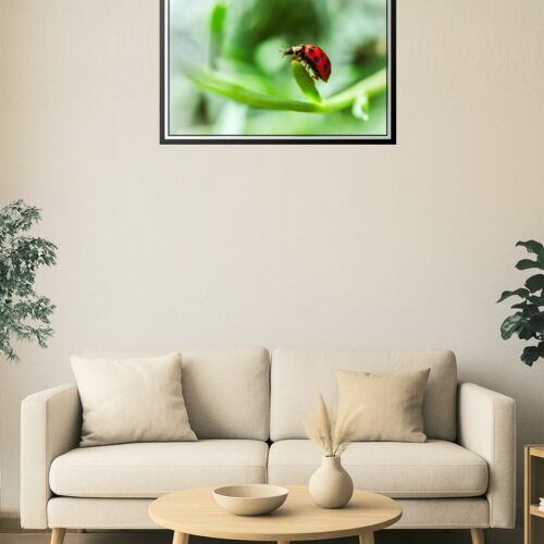 Ladybug on Leaf Macro Poster – Bright Nature Insect Art picture