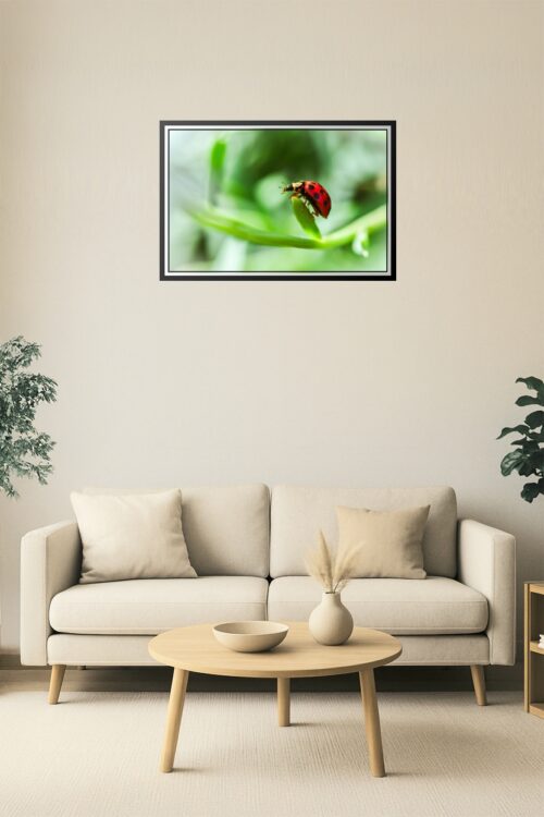 Ladybug on Leaf Macro Poster – Bright Nature Insect Art picture