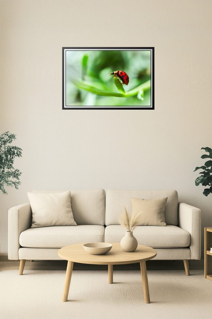 Ladybug on Leaf Macro Poster – Bright Nature Insect Art picture