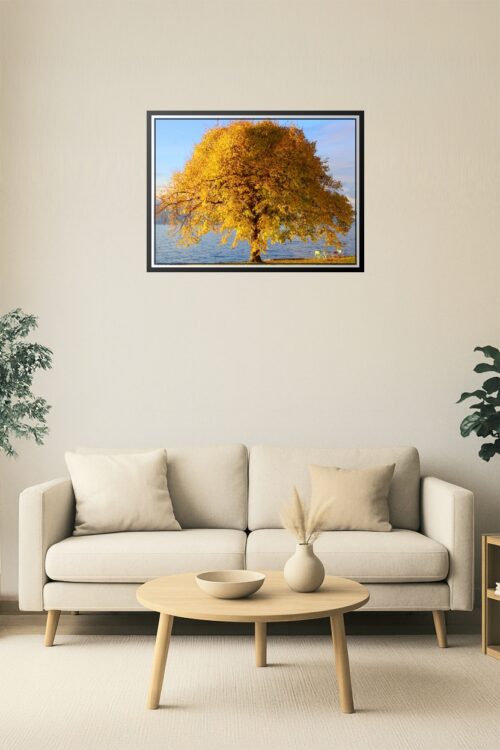 Golden Autumn Tree by the Lake Poster – Tranquil Nature Scene picture