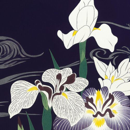 Blooming in Stillness Japanese Iris Poster – Tranquil Floral Art Print picture