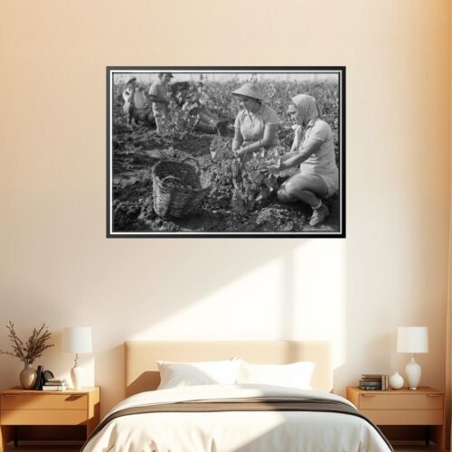 Vintage Grape Harvest Poster – Richon-le-Zion, August 1939 | Great Gift picture