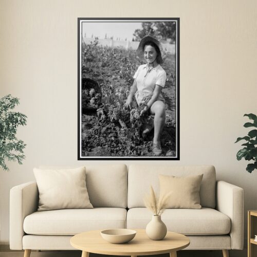 Vintage Grape Picker Poster – Richon-le-Zion, August 1939 | Great Gift picture