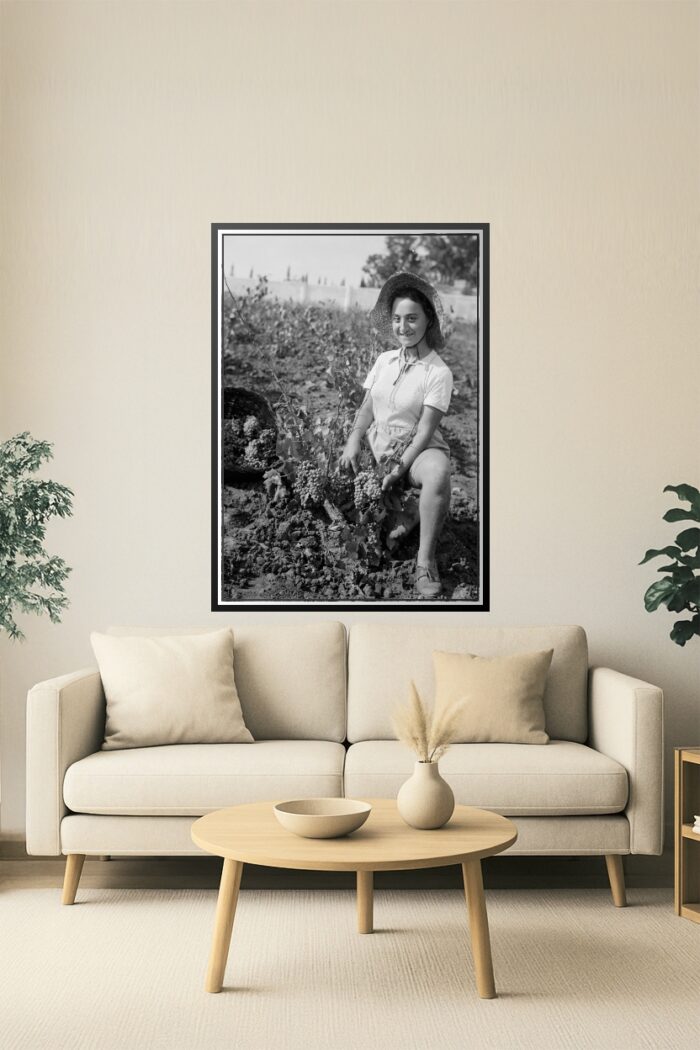 Vintage Grape Picker Poster – Richon-le-Zion, August 1939 | Great Gift picture