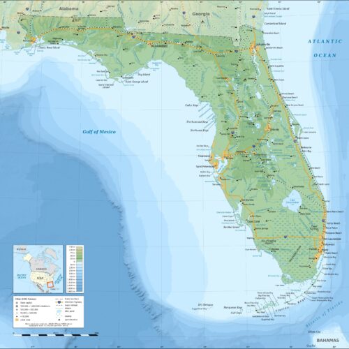 Florida Physical Map Poster – Coastal Beauty & Geographic Detail | Great Gift picture