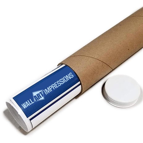 Abstract Female Form Poster – Colorful Grace | Great Gift picture