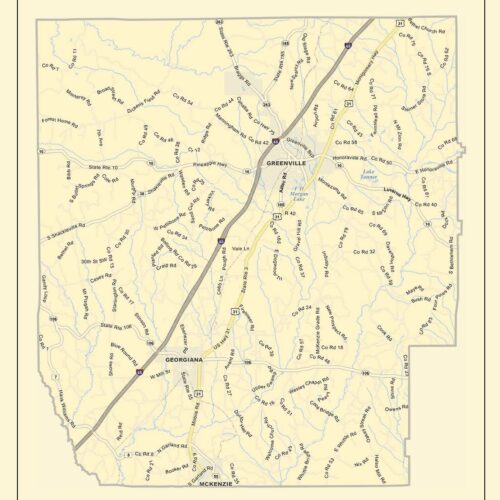 Vintage Minimalist Butler County Alabama Map Poster picture