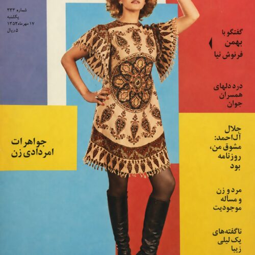 Jaleh Sam Wearing a Ghalamkar Dress - 1970s Poster wall art poster