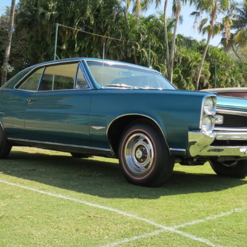 Photographic print of a turquoise 1966 Pontiac GTO muscle car displayed at a car show with chrome details and palm tree backdrop.