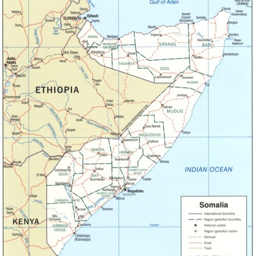 Political map of Somalia with regions and cities highlighted in soft blues and earthy tones. detailed artwork view